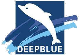 Deepblue Medical
